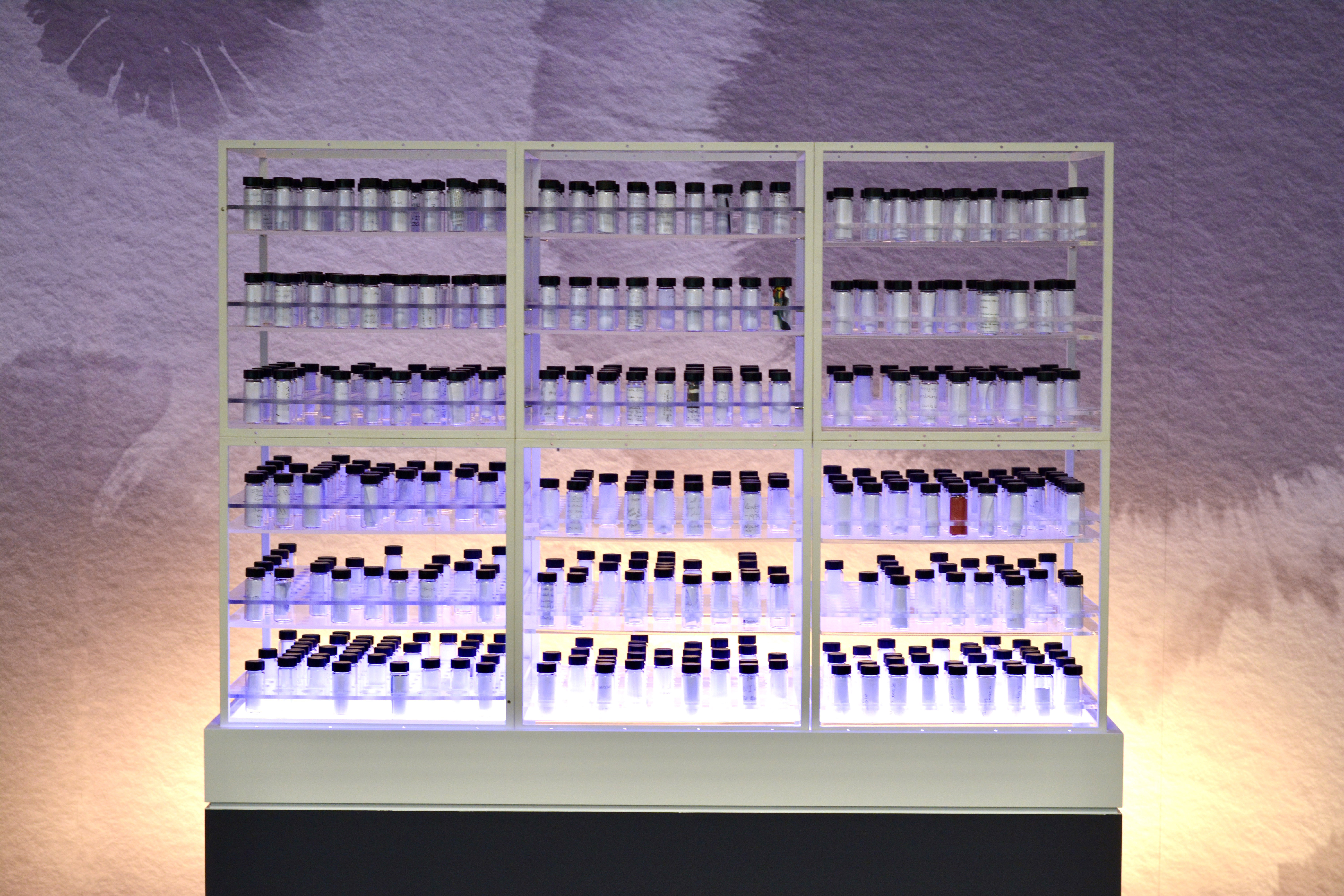 Infected Blood Inquiry Memorial