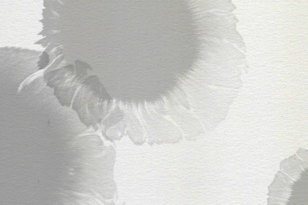 liquid blossom